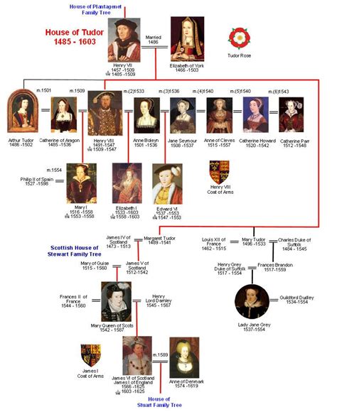 tudor dynasty chart